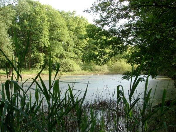 Ferienhaus Bindow Heidesee Esterno foto